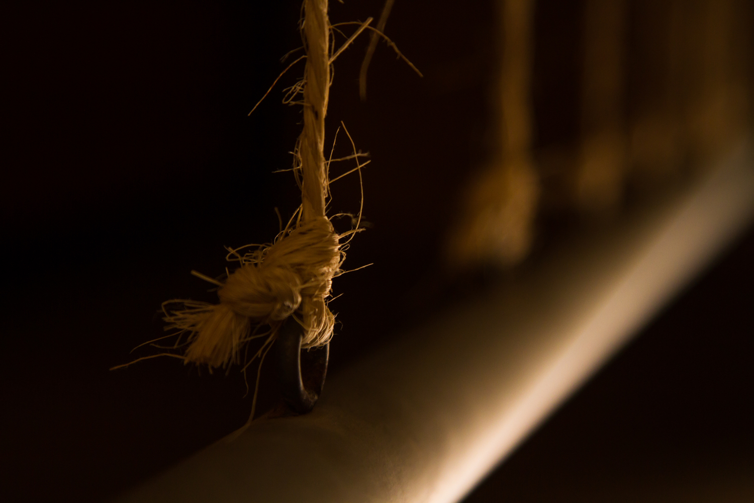 archiDATUM